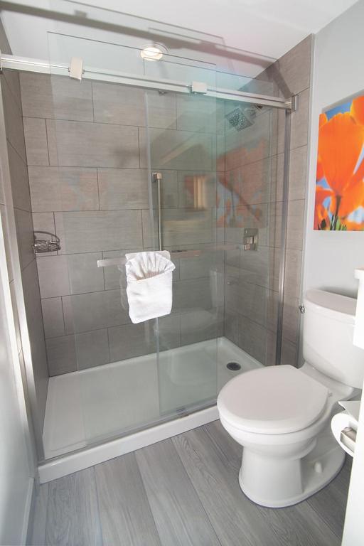 King Room - Disability Access interior